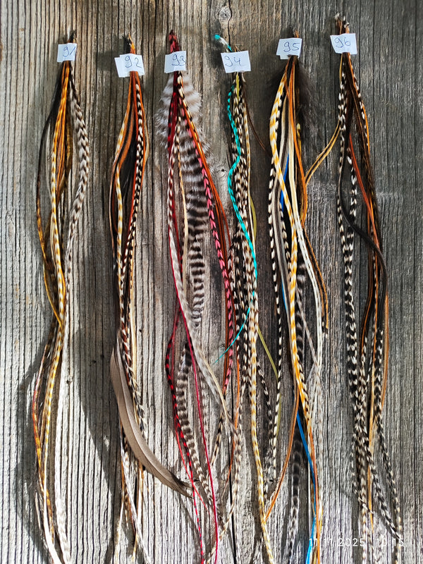 einzelne Feder Extension Pack´s