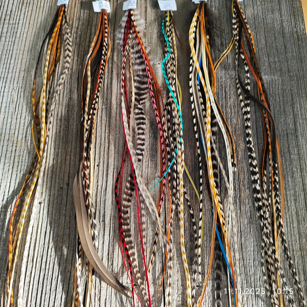 einzelne Feder Extension Pack´s