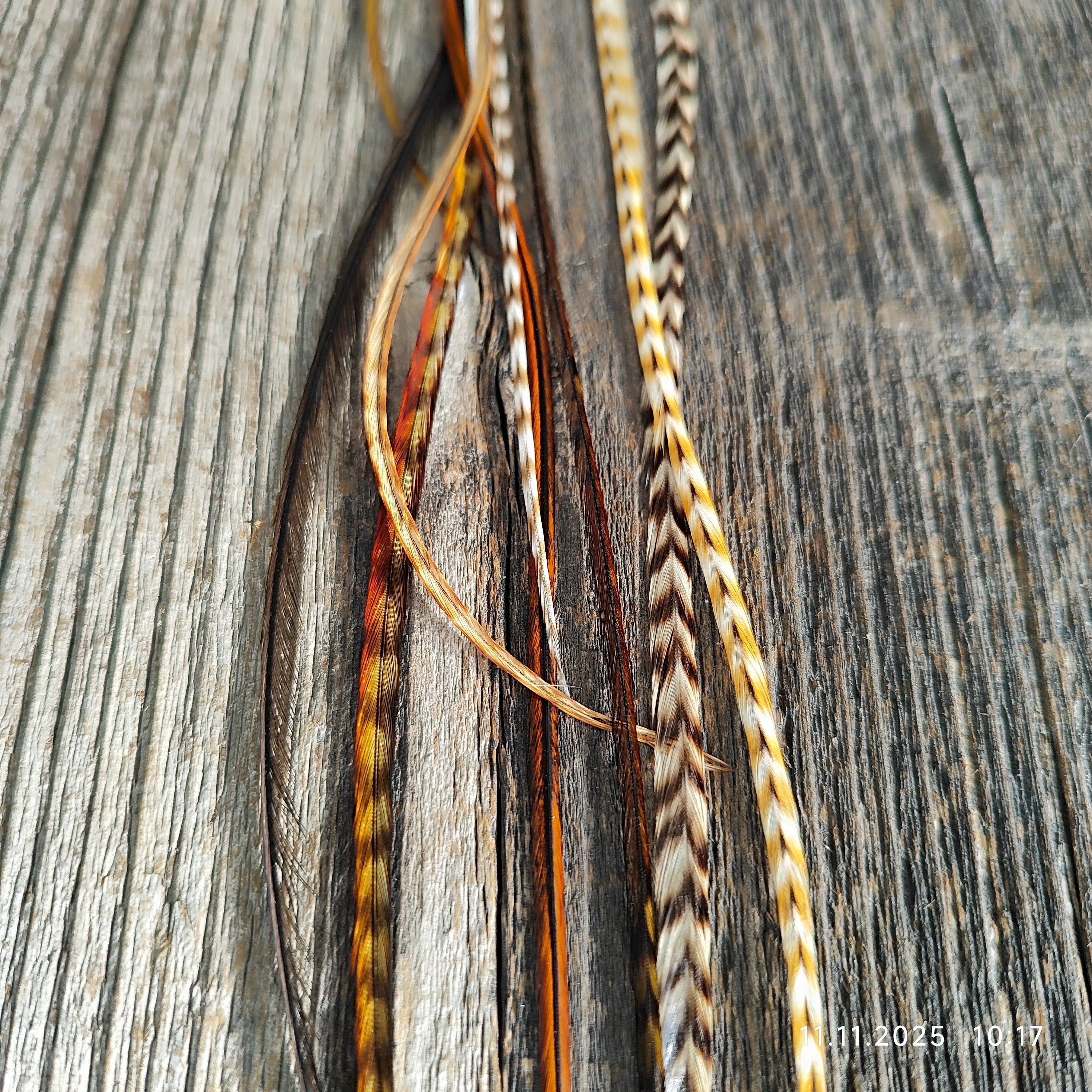 einzelne Feder Extension Pack´s