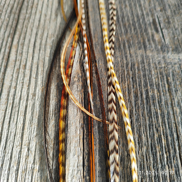 einzelne Feder Extension Pack´s