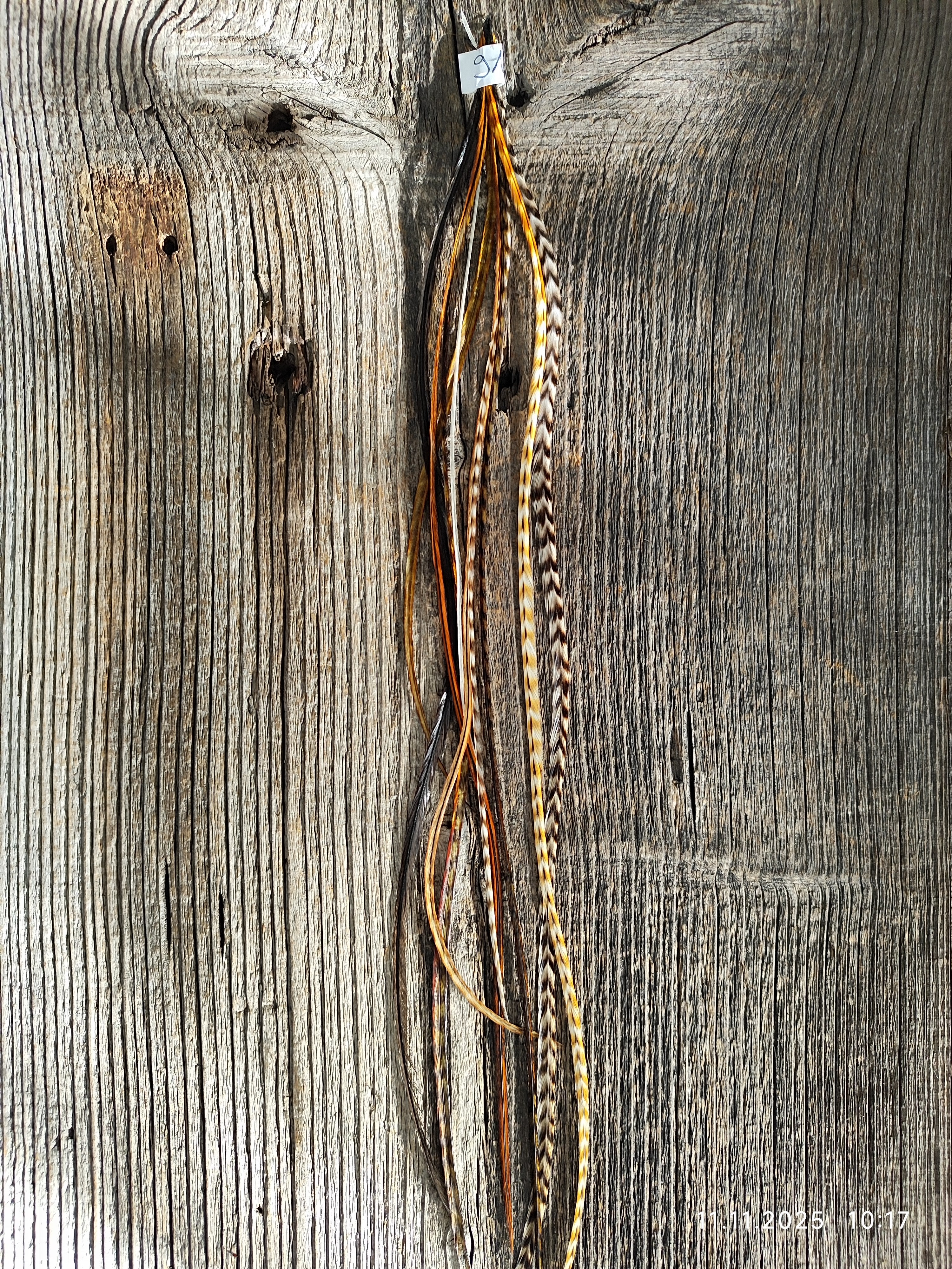 einzelne Feder Extension Pack´s