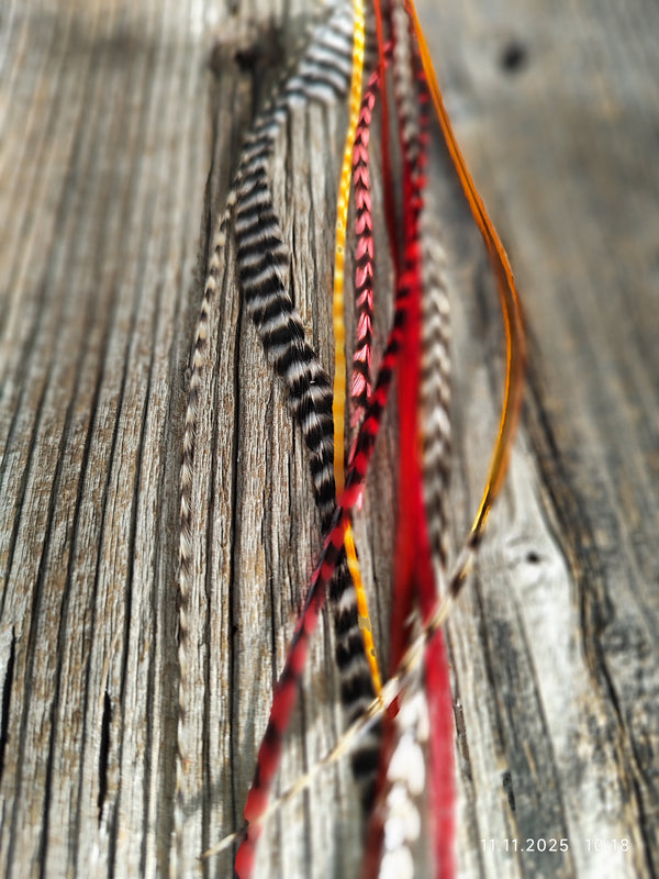 einzelne Feder Extension Pack´s