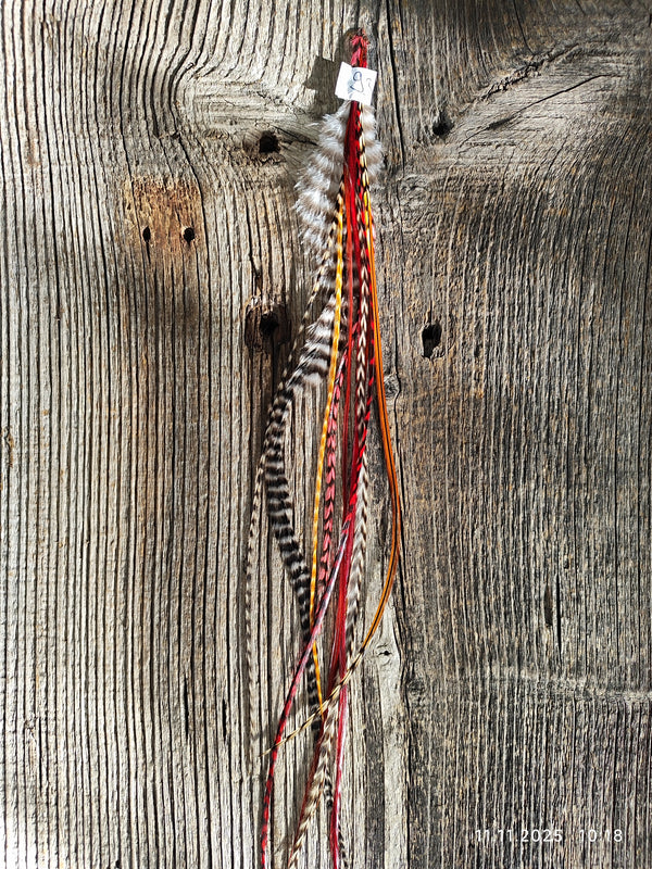 einzelne Feder Extension Pack´s