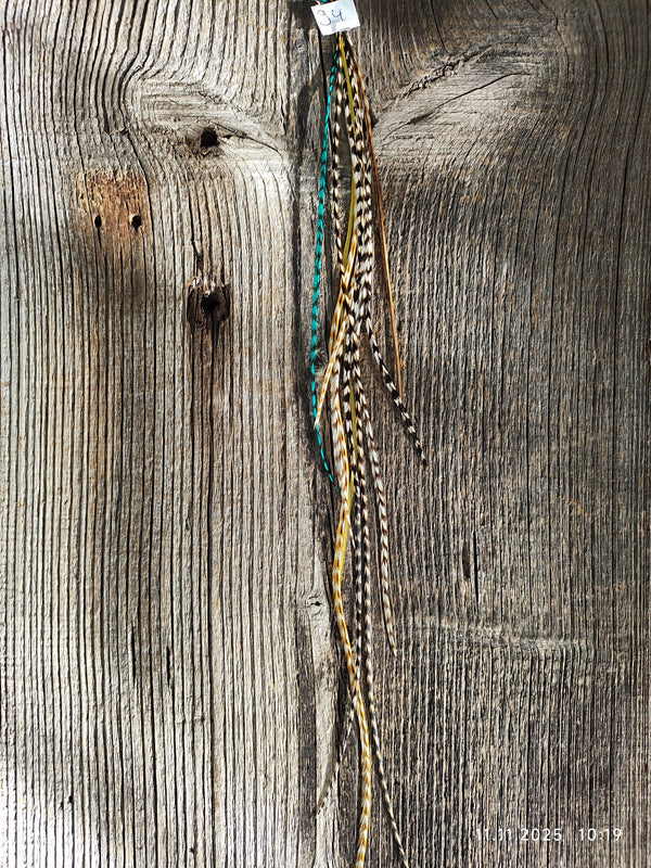 einzelne Feder Extension Pack´s