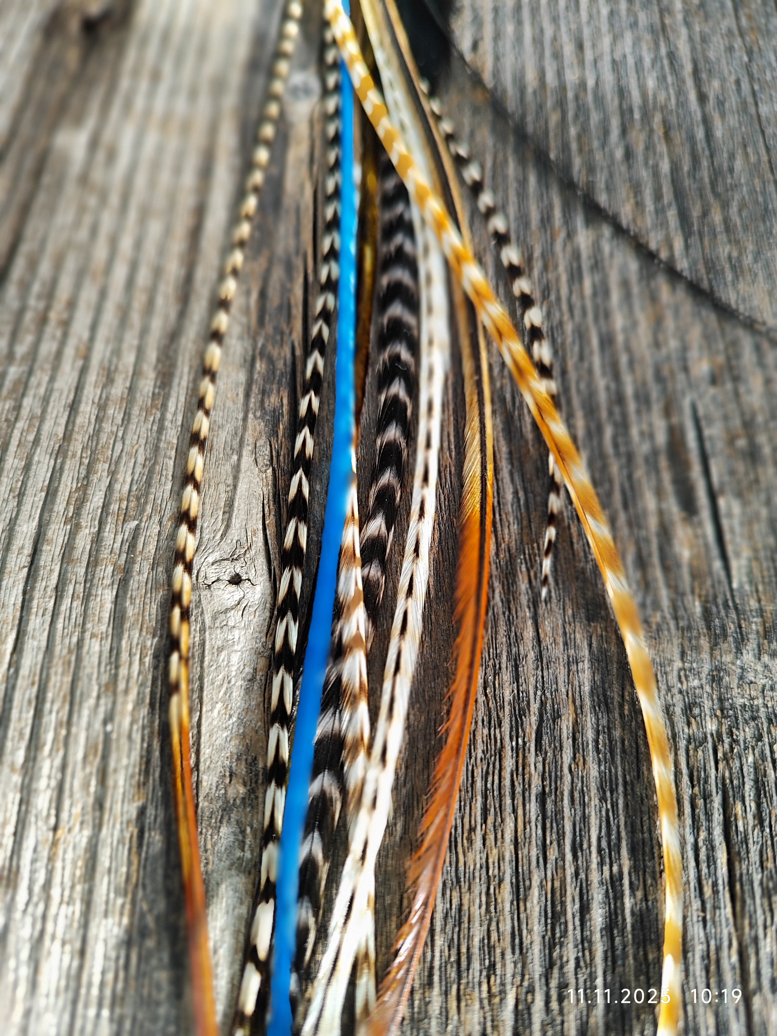 einzelne Feder Extension Pack´s