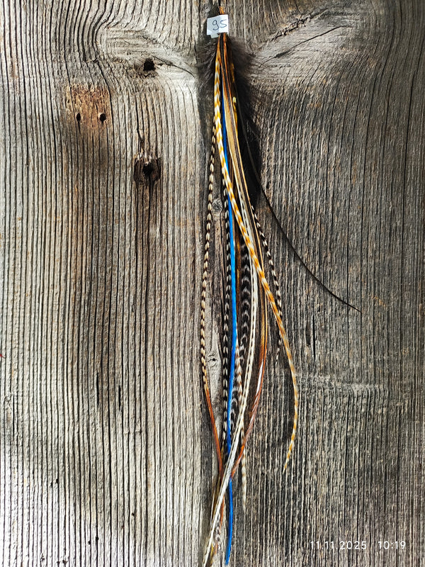 einzelne Feder Extension Pack´s