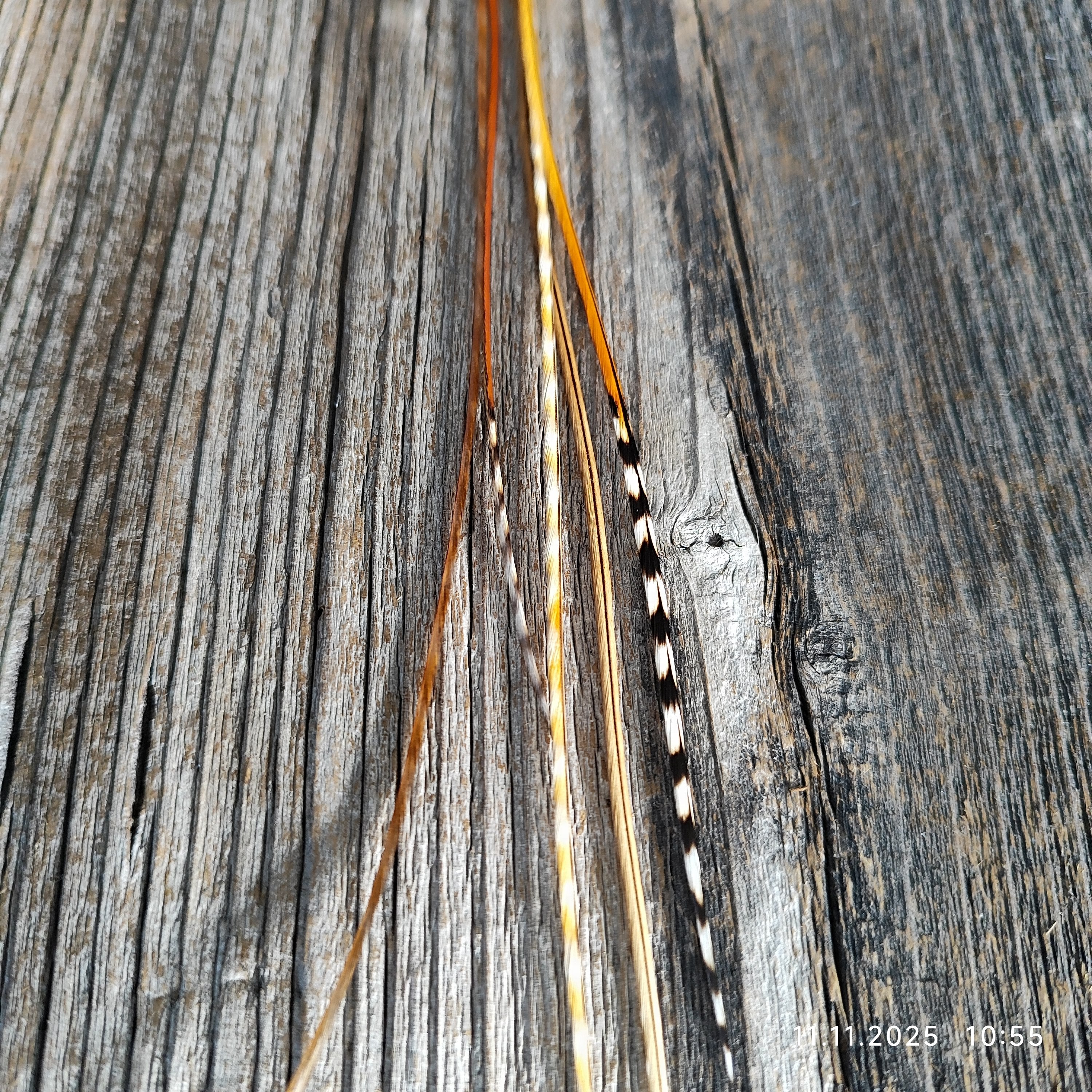 ClipIn´s Unikate Sale