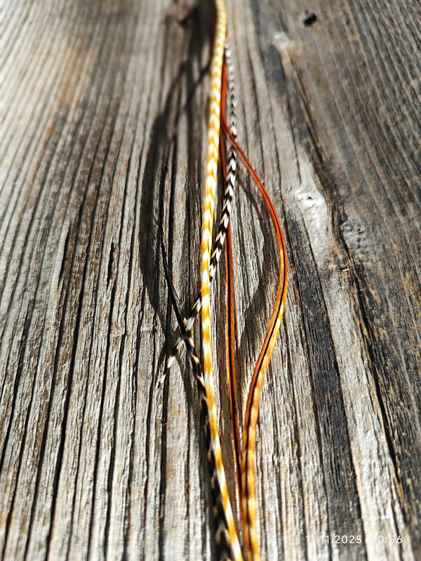 ClipIn´s Unikate Sale