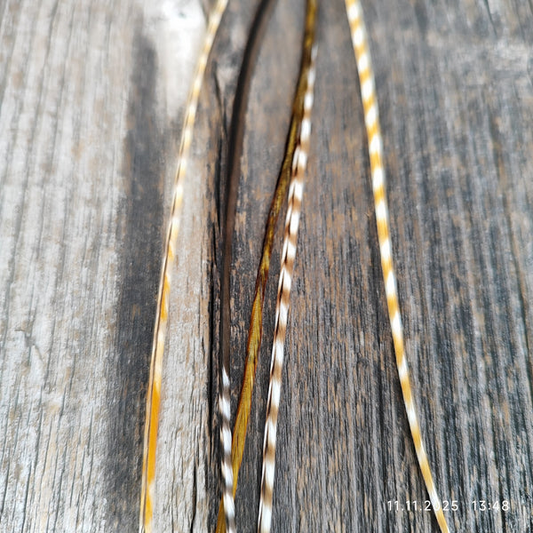 ClipIn´s  Unikate SALE