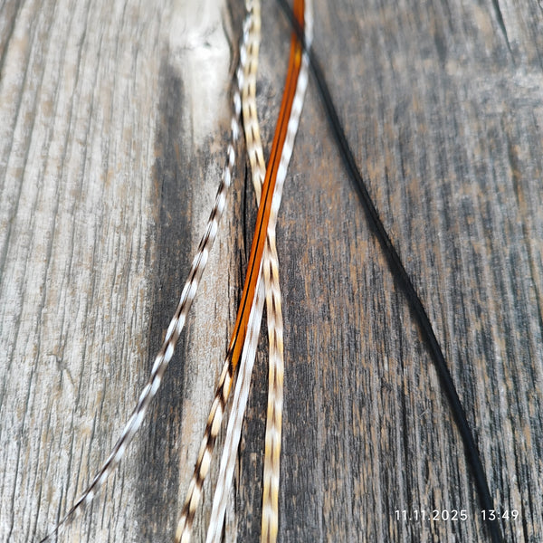 ClipIn´s  Unikate SALE