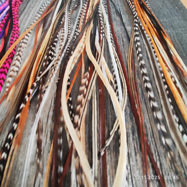 einzeln / Salon 20er Packs zum Vorteilspreis!