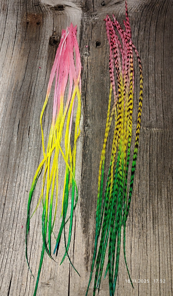 Multicolor Pink Gelb Grün Verlauf